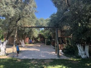 belen coban sofrasi067