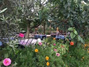 belen coban sofrasi082