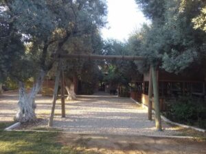 belen coban sofrasi083