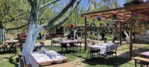 belen coban sofrasi085